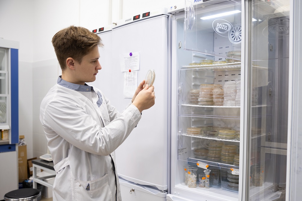 Молекулярная биотехнология и биоинженерия