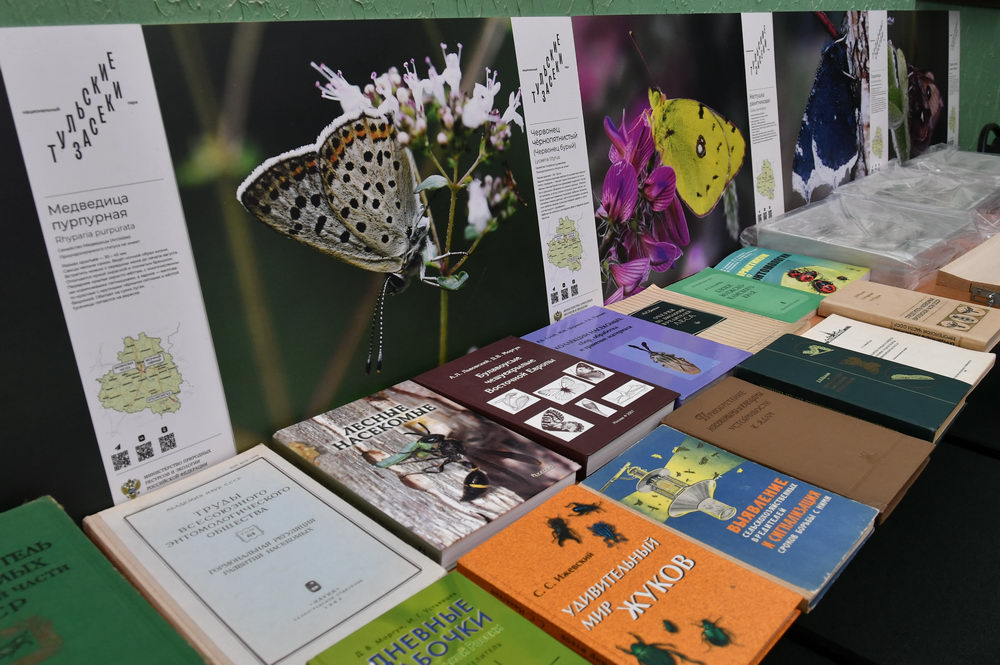 Познавательный и увлекательный День энтомолога в ТулГУ