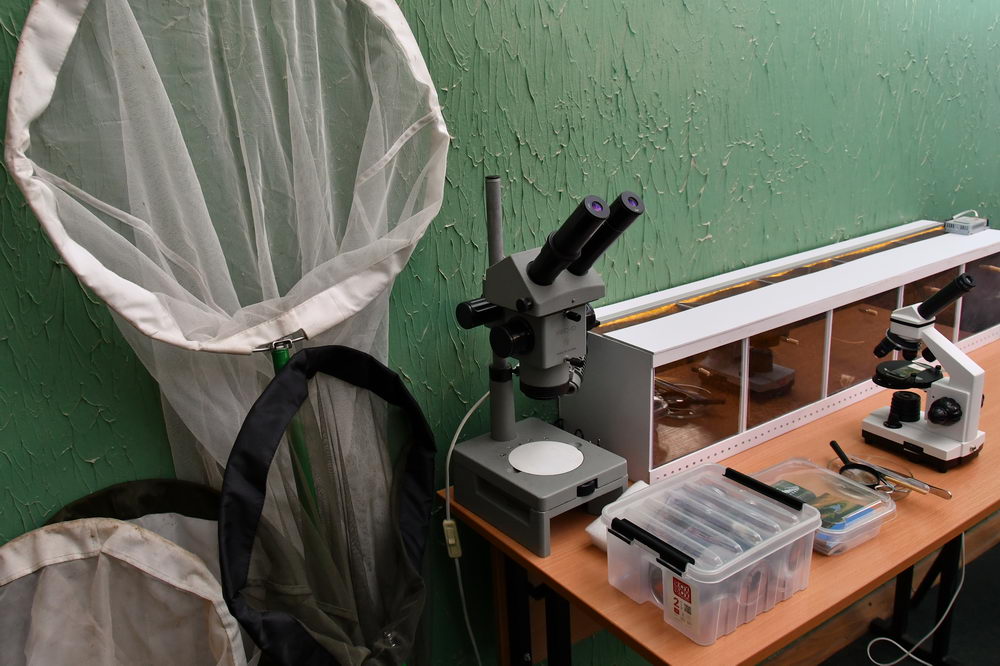 Познавательный и увлекательный День энтомолога в ТулГУ