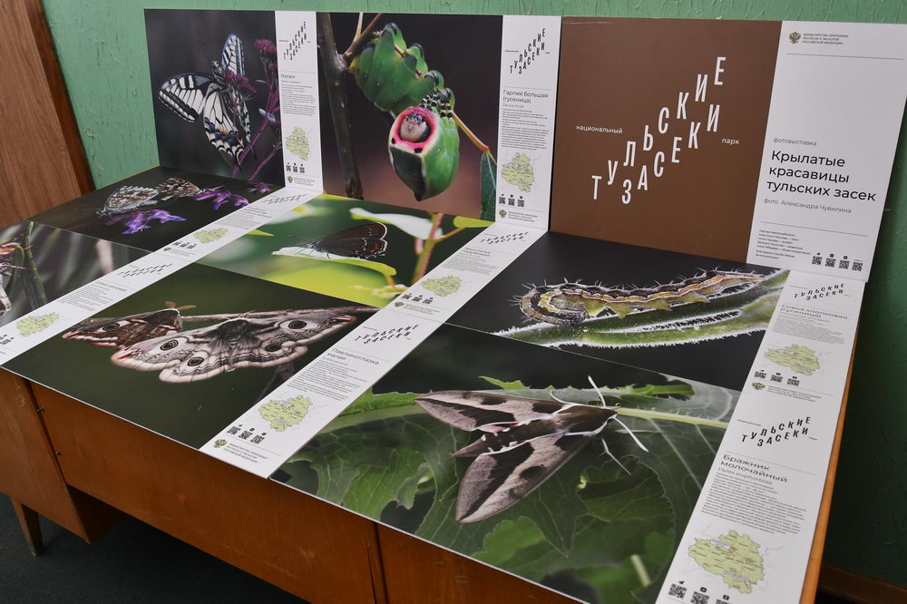 Познавательный и увлекательный День энтомолога в ТулГУ